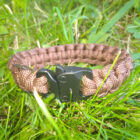 Bracelet paracorde type III - Boucle métal - Corde 550 type III - Bracelet de survie - Breizhilience.fr