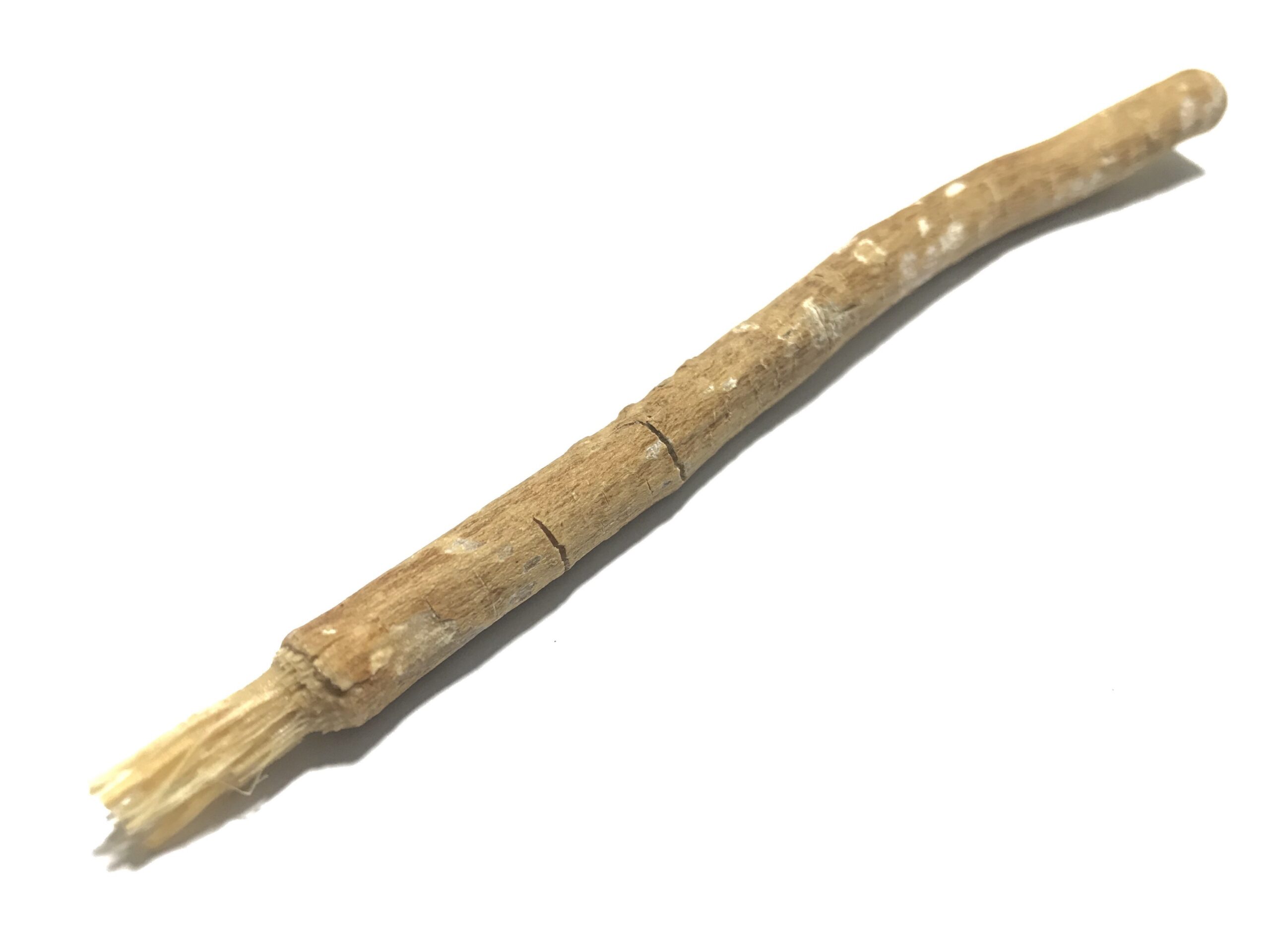 Siwak - Dentifrice naturel - Hygiène dentaire - Vie saine - Breizhilience.fr