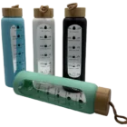 Gourde verre 1l protection silicone couleur au choix - Gourde 1l verre borosilicate - Breizhilience.fr