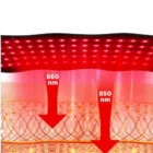 Ceinture massage lombaires chauffante - ceinture lumière rouge massage dos et taille - Breizhilience.fr