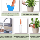 Cônes argile arrosage - Solution naturelle arrosage plantes - Cônes réserve eau plantes - La B'Reizhilience