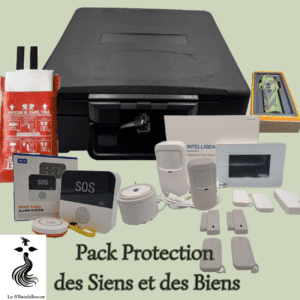 Ensemble d'équipement de surveillance et protection pour les personnes et lieux de vie - La B'Reizhilience